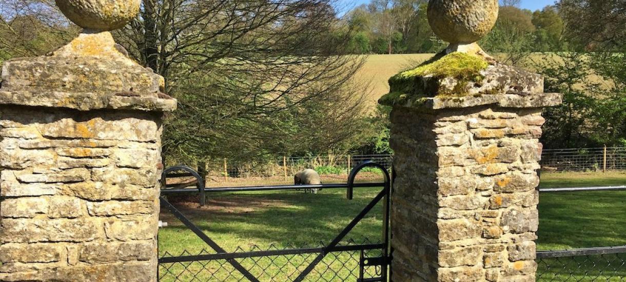 Large Counrty Garden