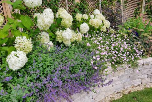 Village Garden (Hampshire)